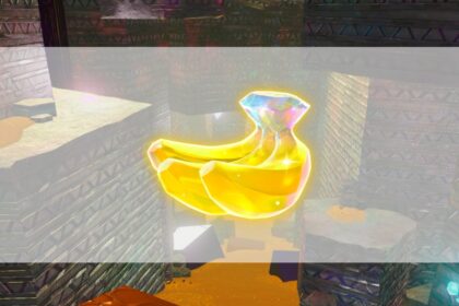 1500 lede dkb.webp.jpeg