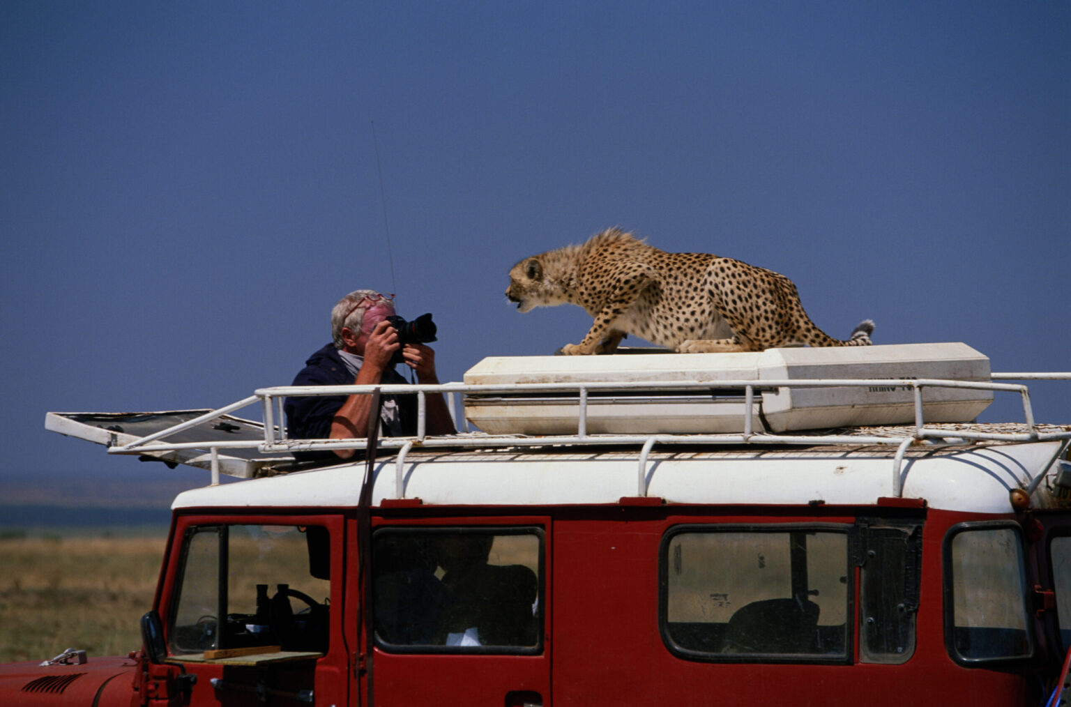 Gettyimages 200130532 001 scaled.jpg