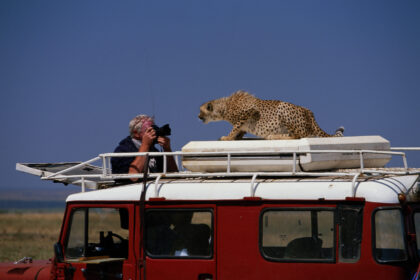 Gettyimages 200130532 001 scaled.jpg