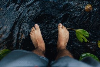 Sole wisdom ancient roots what do your feet really remember.jpg