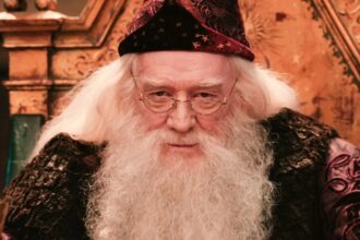 Dumbledore staring straight into the camera in harry potter and the sorcerers stone jpg.jpg