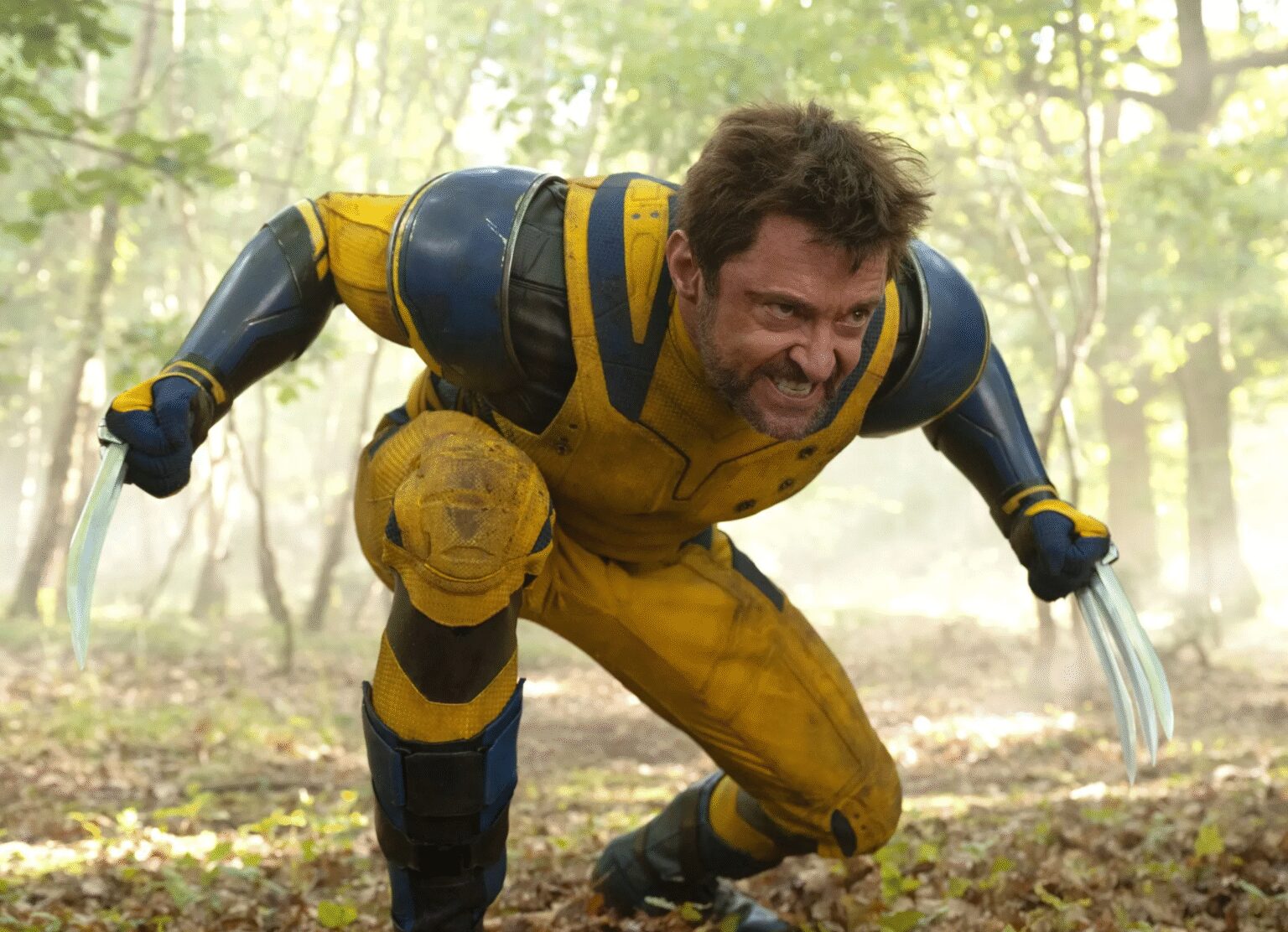 Wolverine.jpg