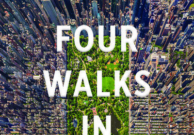 An hour in central park how to take a mini vacation in the heart of manhattan.jpg