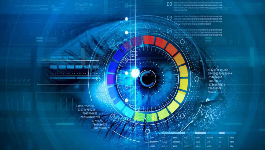 Color perception.png