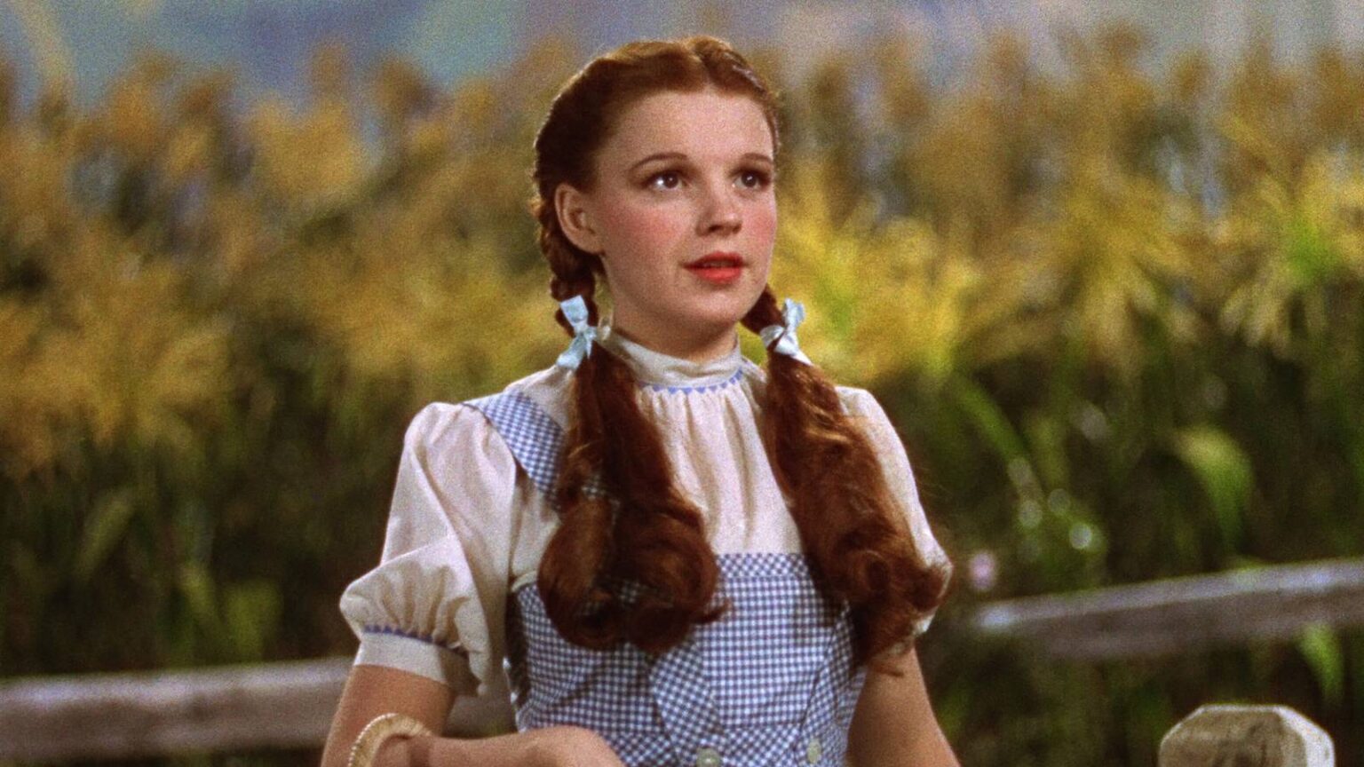 Dorothy holding a basket in the wizard of oz.jpg