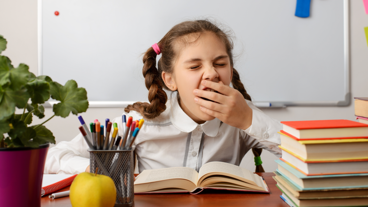 Shutterstock 1667229799 91hm.1200.png