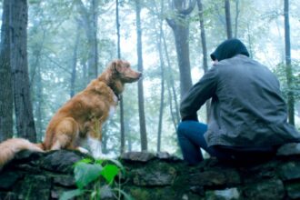 A dog is staring at his owner in good boy.jpg