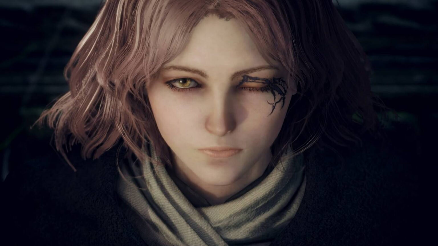 Elden ring tarnished edition.jpg