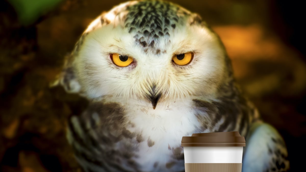 Hero image.fill .size 1200x675.v1623390045.jpg