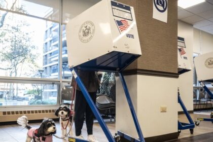 Https3a2f2fd1e00ek4ebabms.cloudfront.net2fproduction2f0c01f36a 10ef 4f75 bd33 08363035ff3f.jpg