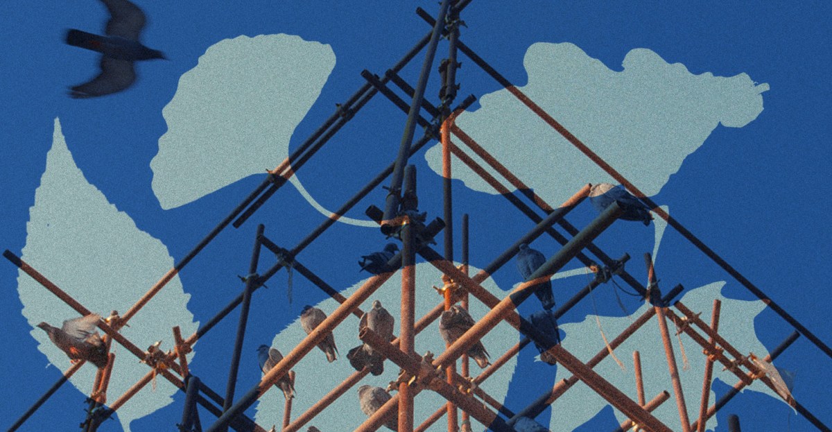 Landingpage vox lucyjones.jpg