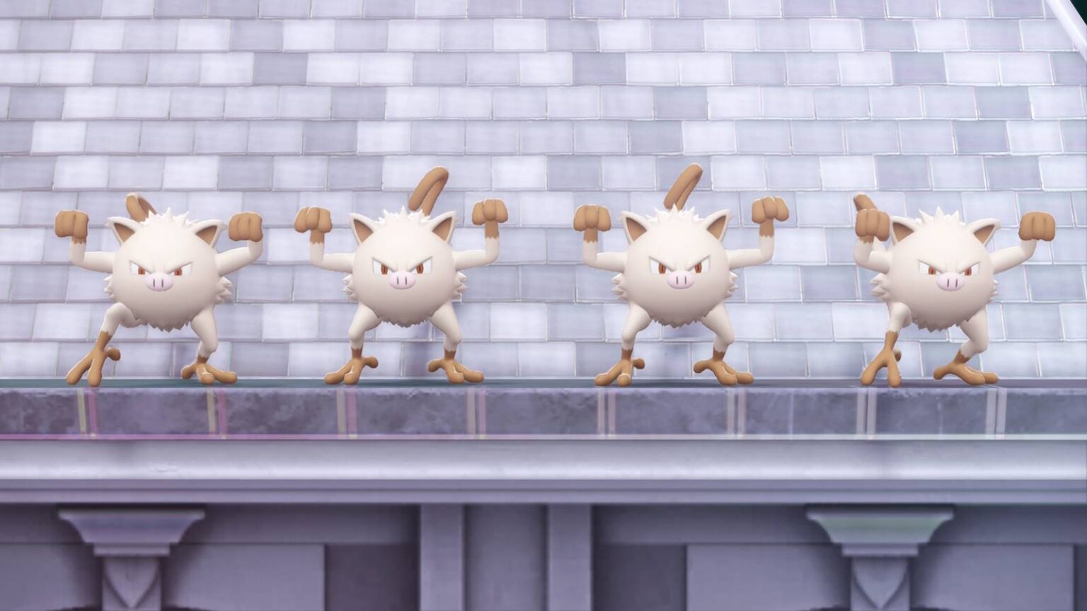 Hyperspace wild zone rooftop.jpg