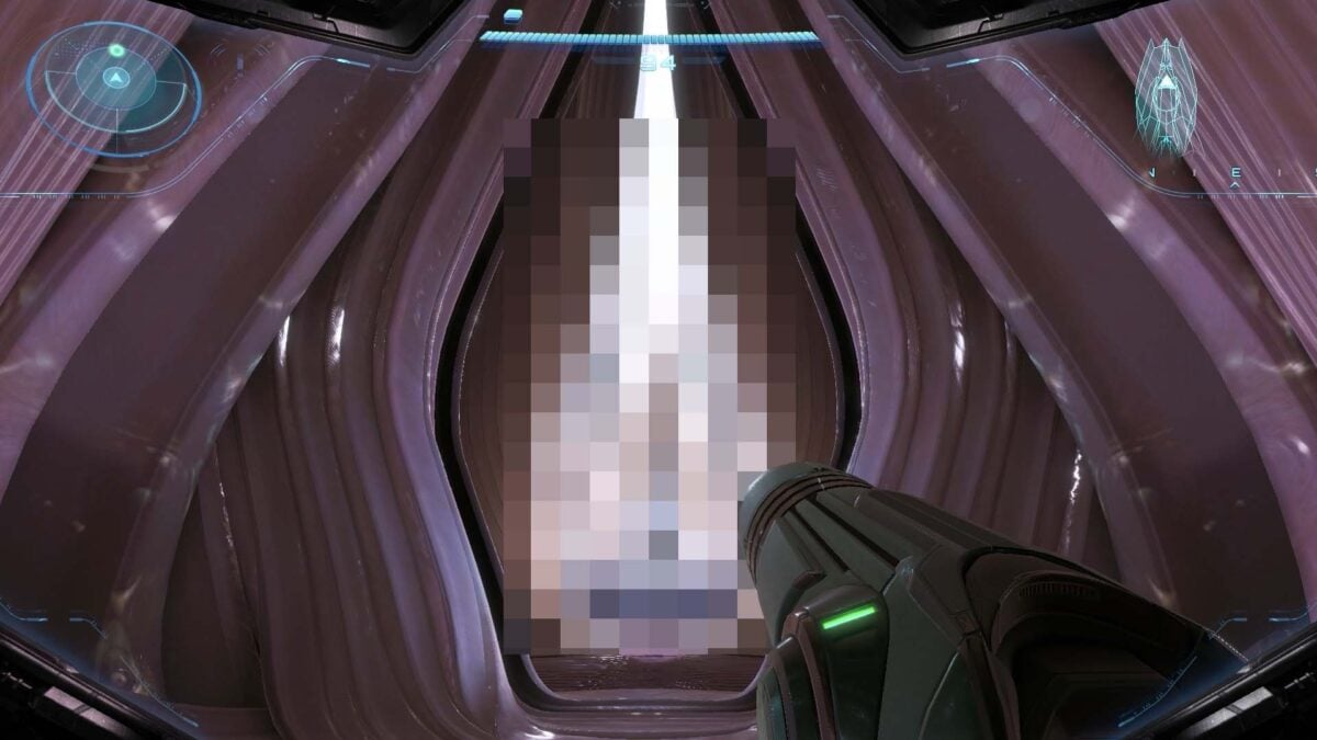 Metroid vaginaas 1200x675.jpg