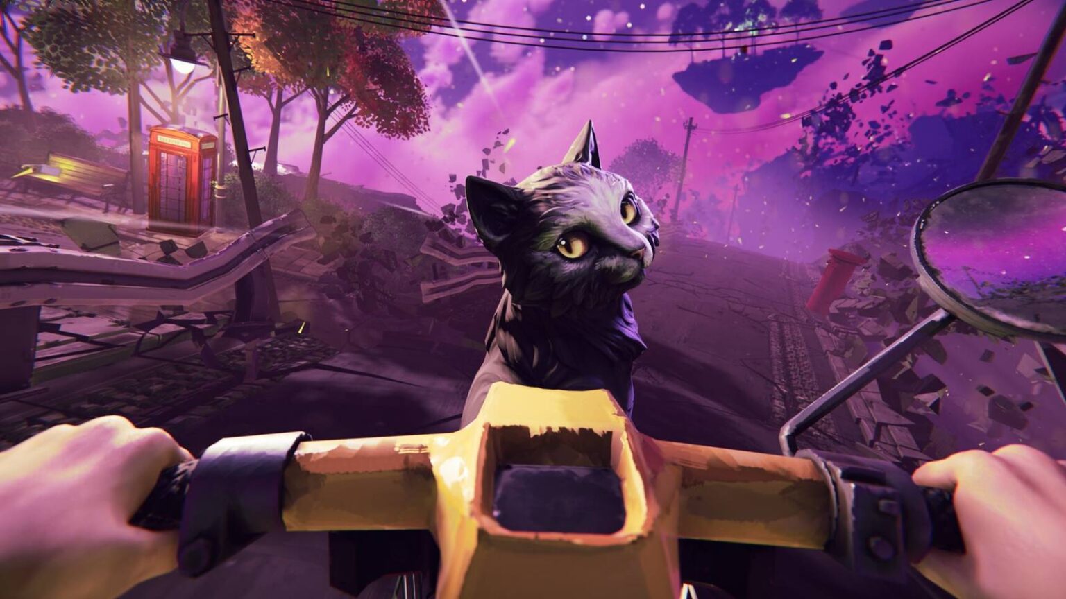 There are no ghosts at the grand person ridnig a bike with a cat in the front.jpg