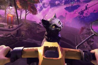 There are no ghosts at the grand person ridnig a bike with a cat in the front.jpg