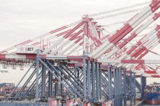 Ap26051700695950 e1771693229604.jpg