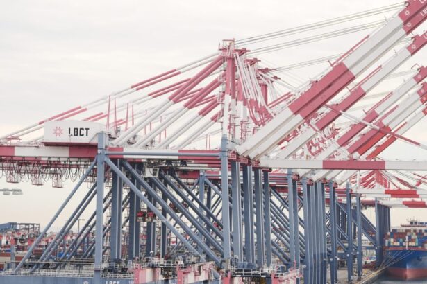 Ap26051700695950 e1771693229604.jpg