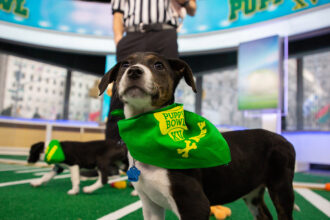 Gettyimages 1090640152 h 2026.jpg