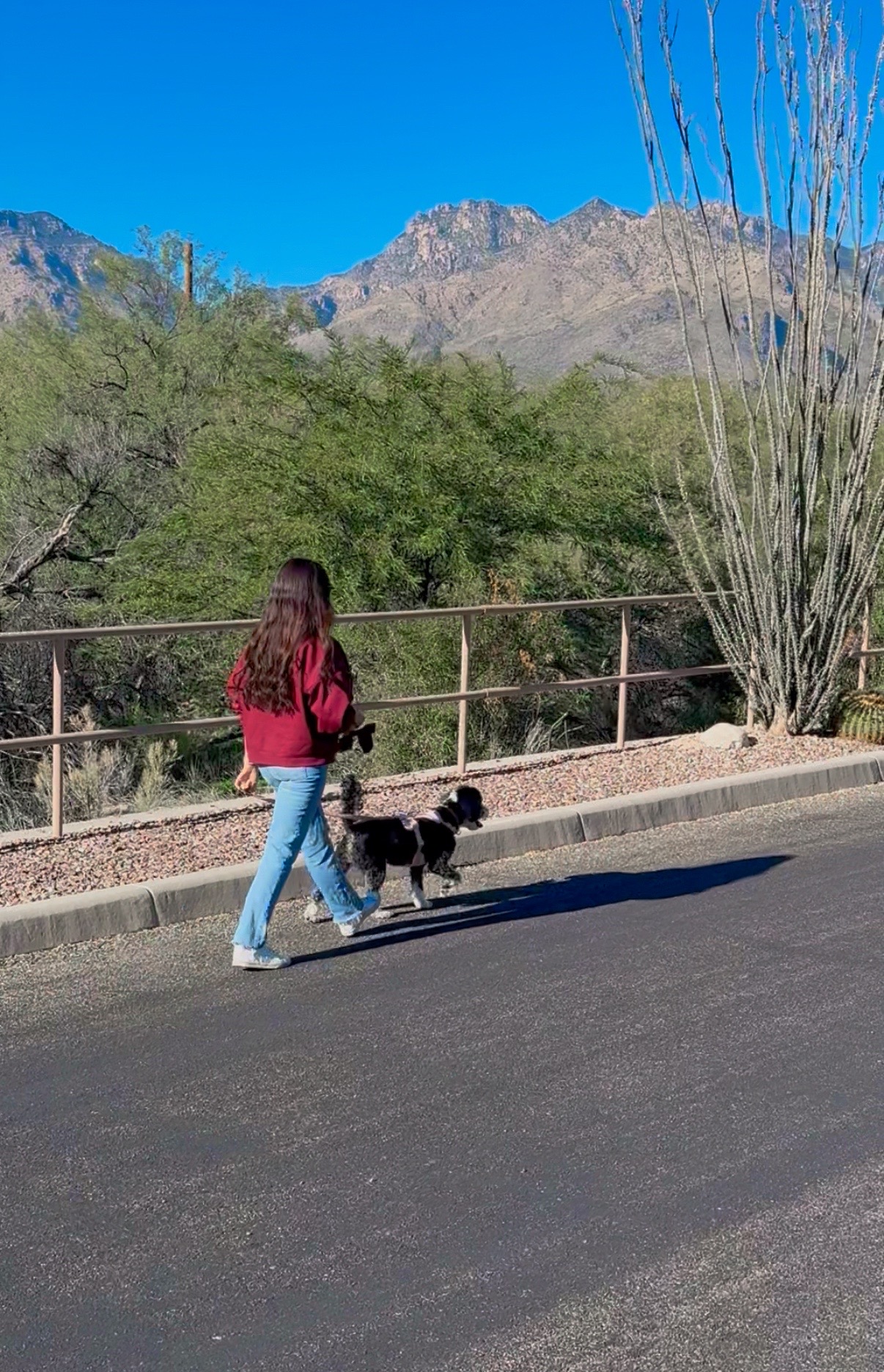 Low effort wellness habits that actually make a difference.jpg