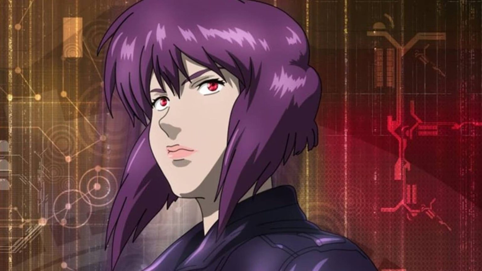A character in ghost in the shell stand alone complex.jpg