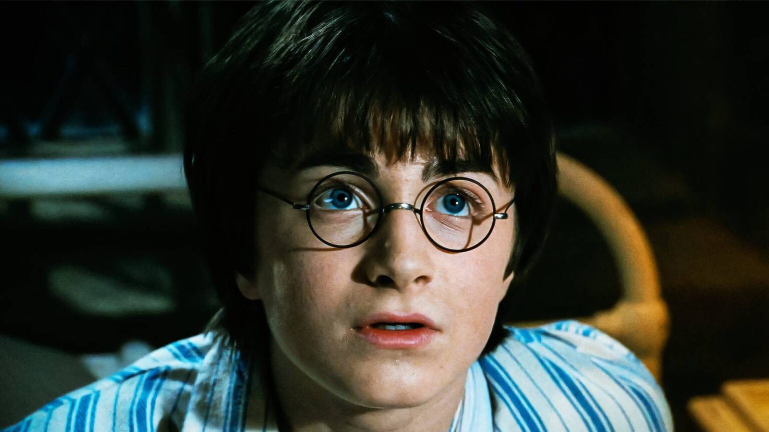 Og harry potter actor returning for hbo s remake is more likely now v2.jpg