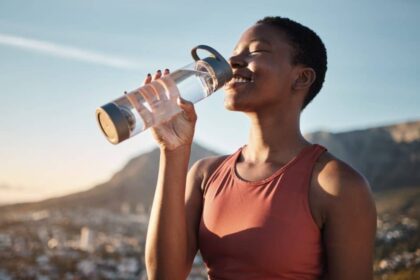 Shutterstock 2239226317 1024x631.jpg