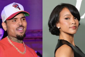 Chris brown apparent comment to tiktoker who posted a clip about looking like karrueche tran has soc.jpeg