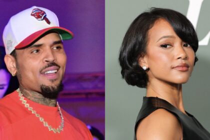 Chris brown apparent comment to tiktoker who posted a clip about looking like karrueche tran has soc.jpeg