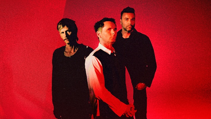 Muse 2026 polocho grid.jpg