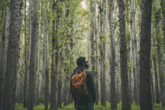 Man in the forest.png