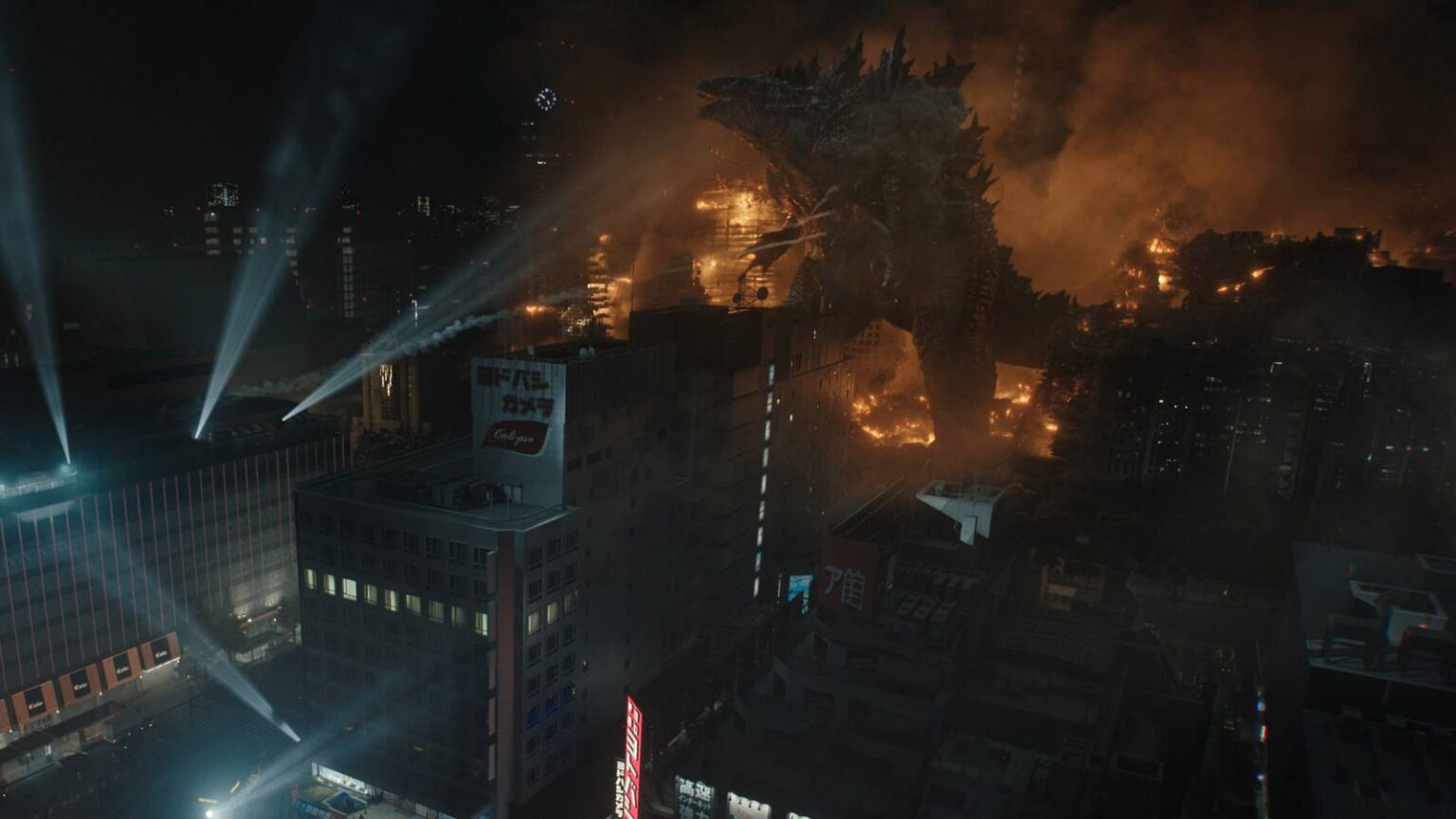 Monarch photo 020607.jpg