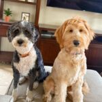 Partners in crime.jpg