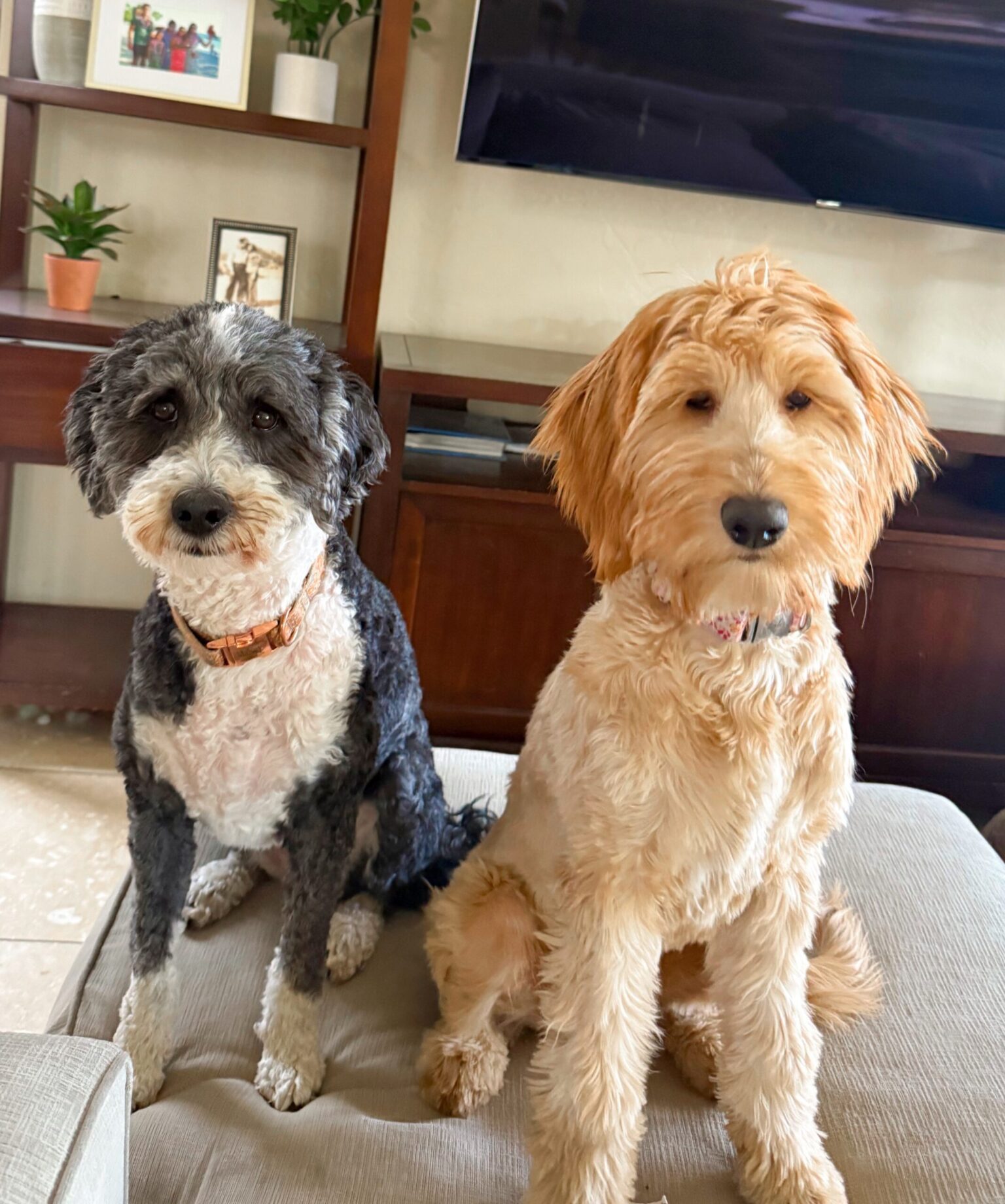 Partners in crime.jpg