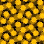 Ransomware crypto gold samuil levich getty.jpg