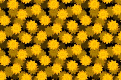 Ransomware crypto gold samuil levich getty.jpg