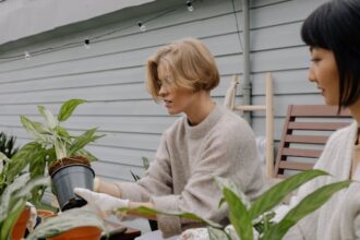 Outdoor spaces that help you slow down the role of a greener garden.jpg