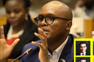 How ai policy in south africa is ruining itself.jpg