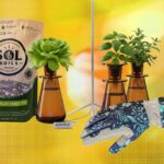 The 15 best gifts for plant lovers and gardeners.jpg