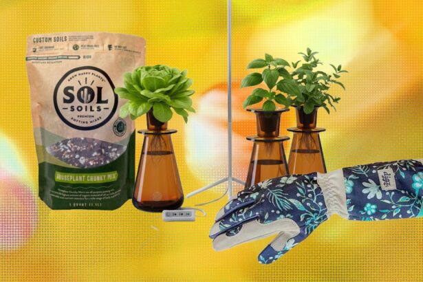 The 15 best gifts for plant lovers and gardeners.jpg