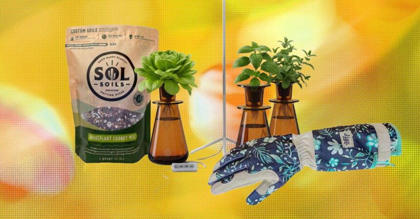 The 15 best gifts for plant lovers and gardeners.jpg