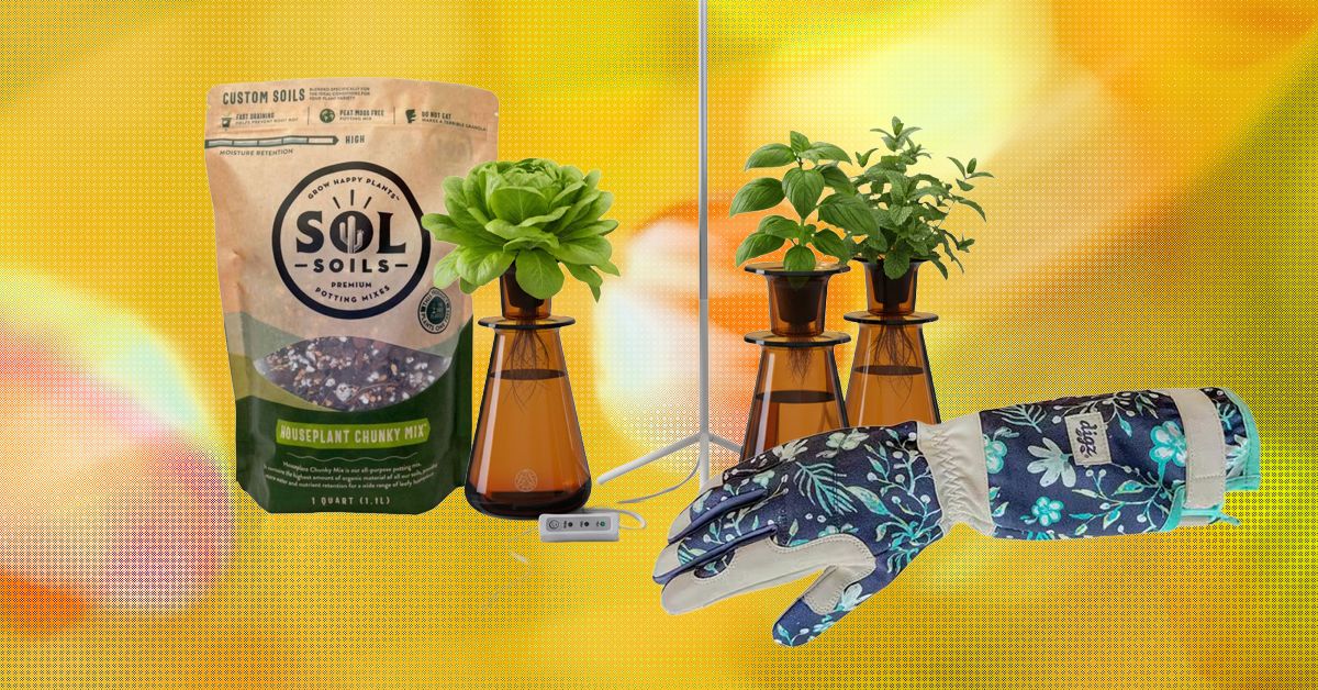The 15 best gifts for plant lovers and gardeners.jpg