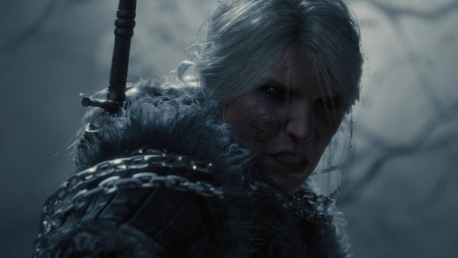 Witcher 4 ciri.jpg